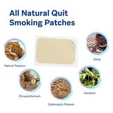 Stop Smoking Aid Nicotine Patch : Easy and Effective Anti-Smoking Stickers